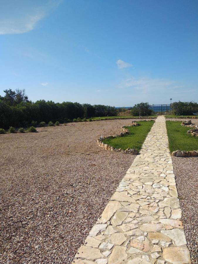 Vila Mansarda Camelie Via Dei Normanni, 45 Campofelice Di Roccella Exteriér fotografie