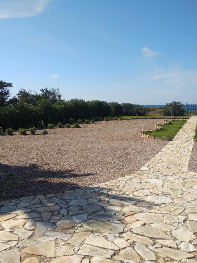 Vila Mansarda Camelie Via Dei Normanni, 45 Campofelice Di Roccella Exteriér fotografie